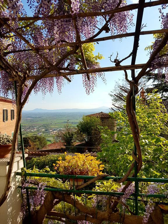 Casa Dell'Ermanna Leilighet Cortona Eksteriør bilde