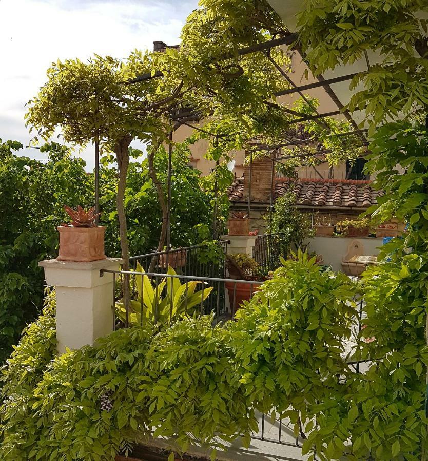 Casa Dell'Ermanna Leilighet Cortona Eksteriør bilde