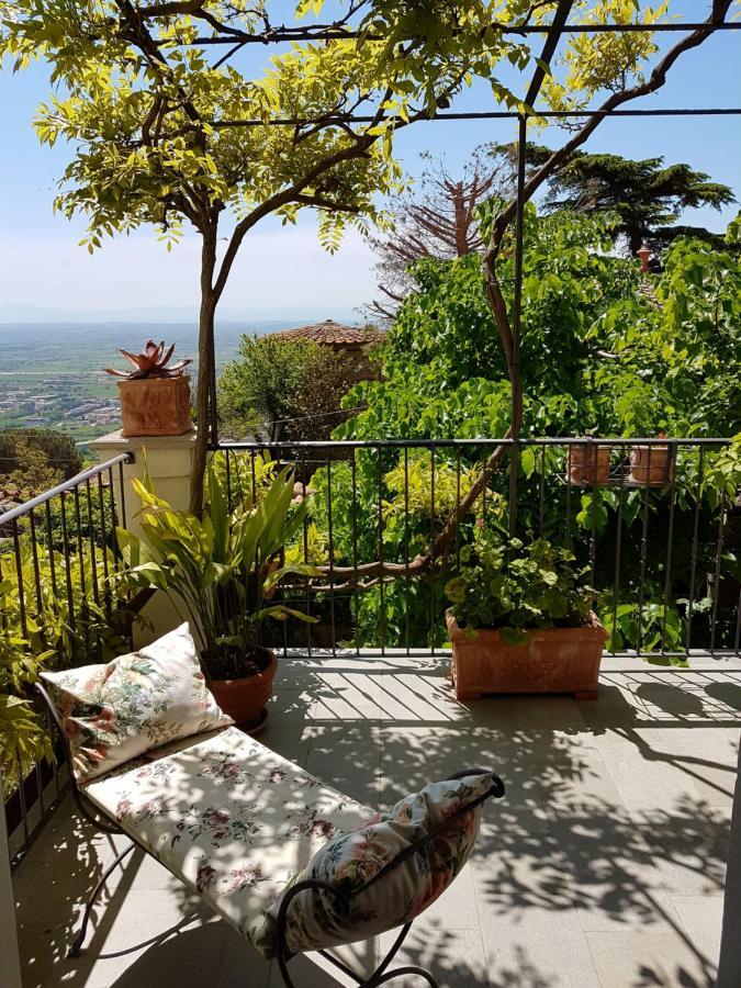 Casa Dell'Ermanna Leilighet Cortona Eksteriør bilde